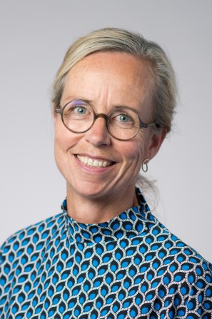 Afbeelding/>